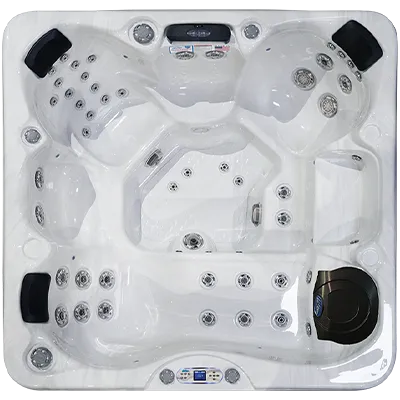 Avalon EC-849L hot tubs for sale in Lakeport